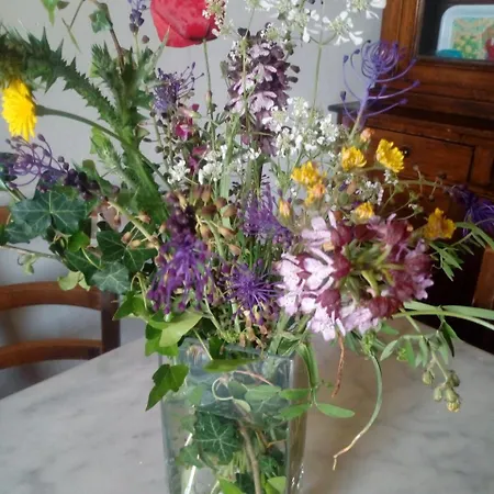 Le Pergole- بيت ضيافة